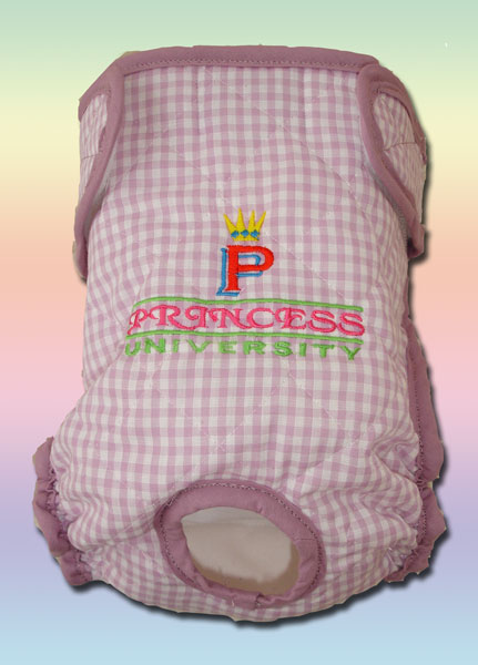 Princess University 2