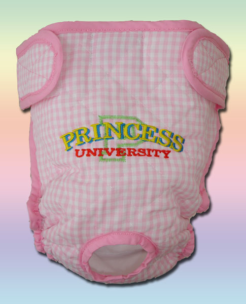 Princess University