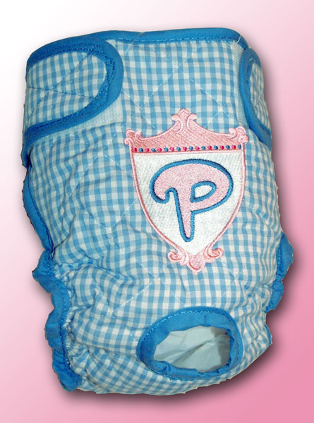 Princess Shield on Blue Gingham