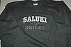 Saluki University